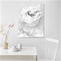 Picture of Peony Flowers _GroupedProduct_Rectangle_Portrait_Photography _GroupedProduct_Rectangle_Portrait_Unframed_Print_Only_