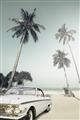 Picture of Palms & Cool Car _GroupedProduct_Rectangle_Portrait_Photography _GroupedProduct_Rectangle_Portrait_Unframed_Print_Only_