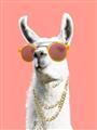 Picture of Llamarama  with glass _GroupedProduct_Rectangle_Portrait_Unframed_Print_Only_