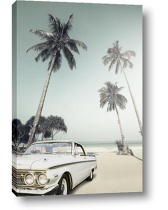 Picture of Palms & Cool Car