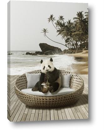 Picture of Panda Sitting on Sofa
