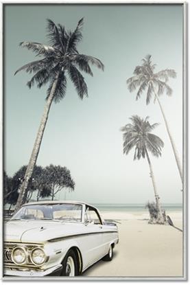 Picture of Palms & Cool Car