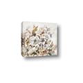 Picture of Soft Spring Pop I _GroupedProduct_Square_Canvas_