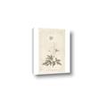 Picture of Flower Sketch I _GroupedProduct_Rectangle_Portrait_Canvas_