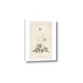 Picture of Flower Sketch I _GroupedProduct_Rectangle_Portrait_Canvas_