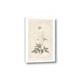 Picture of Flower Sketch I _GroupedProduct_Rectangle_Portrait_Canvas_
