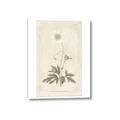 Picture of Flower Sketch I _GroupedProduct_Rectangle_Portrait_Canvas_