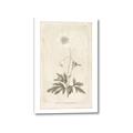 Picture of Flower Sketch I _GroupedProduct_Rectangle_Portrait_Canvas_
