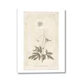 Picture of Flower Sketch I _GroupedProduct_Rectangle_Portrait_Canvas_