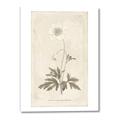 Picture of Flower Sketch I _GroupedProduct_Rectangle_Portrait_Canvas_