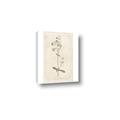 Picture of Flower Sketch II _GroupedProduct_Rectangle_Portrait_Canvas_