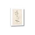 Picture of Flower Sketch II _GroupedProduct_Rectangle_Portrait_Canvas_