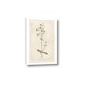 Picture of Flower Sketch II _GroupedProduct_Rectangle_Portrait_Canvas_