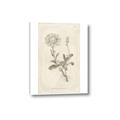 Picture of Flower Sketch III _GroupedProduct_Rectangle_Portrait_Canvas_
