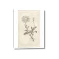 Picture of Flower Sketch III _GroupedProduct_Rectangle_Portrait_Canvas_