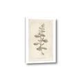 Picture of Flower Sketch IV _GroupedProduct_Rectangle_Portrait_Canvas_