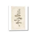 Picture of Flower Sketch IV _GroupedProduct_Rectangle_Portrait_Canvas_
