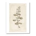 Picture of Flower Sketch IV _GroupedProduct_Rectangle_Portrait_Canvas_