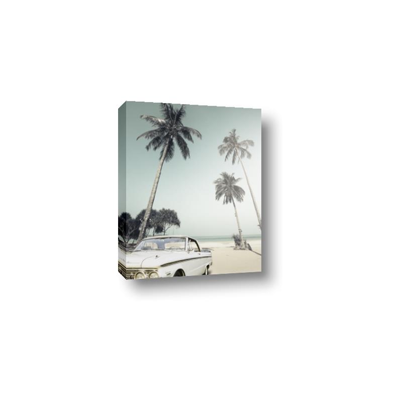 Picture of Palms & Cool Car _GroupedProduct_Rectangle_Portrait_Photography _GroupedProduct_Rectangle_Portrait_Canvas_