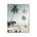 Picture of Palms & Cool Car _GroupedProduct_Rectangle_Portrait_Photography _GroupedProduct_Rectangle_Portrait_Canvas_