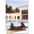 Picture of Panther Lounge _GroupedProduct_Rectangle_Portrait_Canvas_
