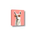 Picture of Llamarama  with glass _GroupedProduct_Rectangle_Portrait_Canvas_