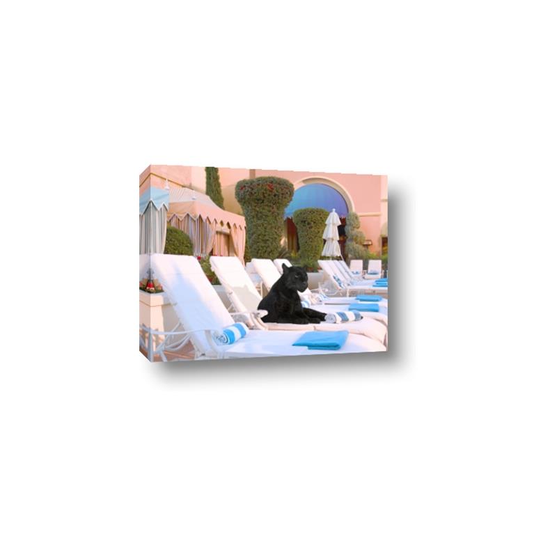 Picture of Black Panther Lounge _GroupedProduct_Rectangle_Landscape_Canvas_