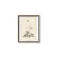 Picture of Flower Sketch I _GroupedProduct_Rectangle_Portrait_Canvas_Framed_