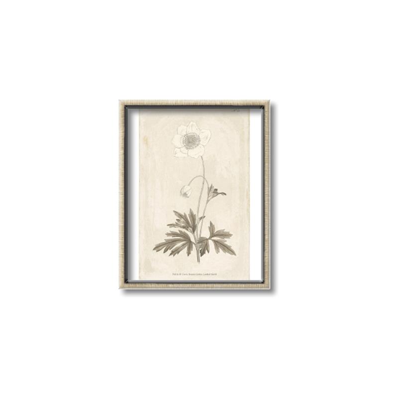 Picture of Flower Sketch I _GroupedProduct_Rectangle_Portrait_Canvas_Framed_
