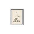 Picture of Flower Sketch I _GroupedProduct_Rectangle_Portrait_Canvas_Framed_