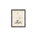 Picture of Flower Sketch I _GroupedProduct_Rectangle_Portrait_Canvas_Framed_