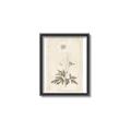 Picture of Flower Sketch I _GroupedProduct_Rectangle_Portrait_Canvas_Framed_