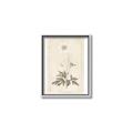Picture of Flower Sketch I _GroupedProduct_Rectangle_Portrait_Canvas_Framed_