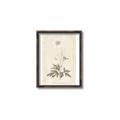 Picture of Flower Sketch I _GroupedProduct_Rectangle_Portrait_Canvas_Framed_