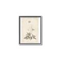 Picture of Flower Sketch I _GroupedProduct_Rectangle_Portrait_Canvas_Framed_