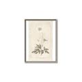 Picture of Flower Sketch I _GroupedProduct_Rectangle_Portrait_Canvas_Framed_