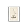 Picture of Flower Sketch I _GroupedProduct_Rectangle_Portrait_Canvas_Framed_