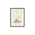 Picture of Flower Sketch I _GroupedProduct_Rectangle_Portrait_Canvas_Framed_