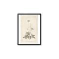 Picture of Flower Sketch I _GroupedProduct_Rectangle_Portrait_Canvas_Framed_