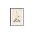 Picture of Flower Sketch I _GroupedProduct_Rectangle_Portrait_Canvas_Framed_
