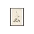 Picture of Flower Sketch I _GroupedProduct_Rectangle_Portrait_Canvas_Framed_