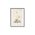 Picture of Flower Sketch I _GroupedProduct_Rectangle_Portrait_Canvas_Framed_