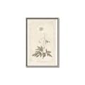 Picture of Flower Sketch I _GroupedProduct_Rectangle_Portrait_Canvas_Framed_