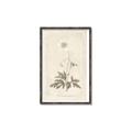 Picture of Flower Sketch I _GroupedProduct_Rectangle_Portrait_Canvas_Framed_