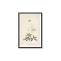 Picture of Flower Sketch I _GroupedProduct_Rectangle_Portrait_Canvas_Framed_
