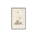 Picture of Flower Sketch I _GroupedProduct_Rectangle_Portrait_Canvas_Framed_
