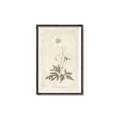 Picture of Flower Sketch I _GroupedProduct_Rectangle_Portrait_Canvas_Framed_