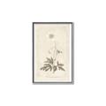 Picture of Flower Sketch I _GroupedProduct_Rectangle_Portrait_Canvas_Framed_