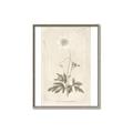 Picture of Flower Sketch I _GroupedProduct_Rectangle_Portrait_Canvas_Framed_