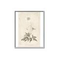 Picture of Flower Sketch I _GroupedProduct_Rectangle_Portrait_Canvas_Framed_